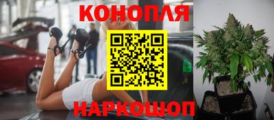 не бодяженный Нальчик
