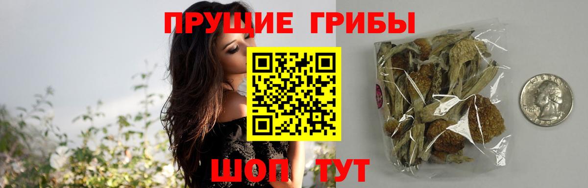Псилоцибиновые грибы мухоморы  купить наркотики цена  Чебоксары  Вход с VPN 
